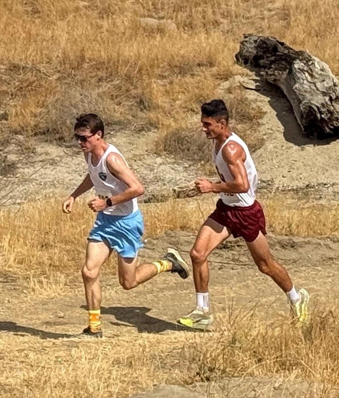 Ryan Morrison, Men's Cross Country